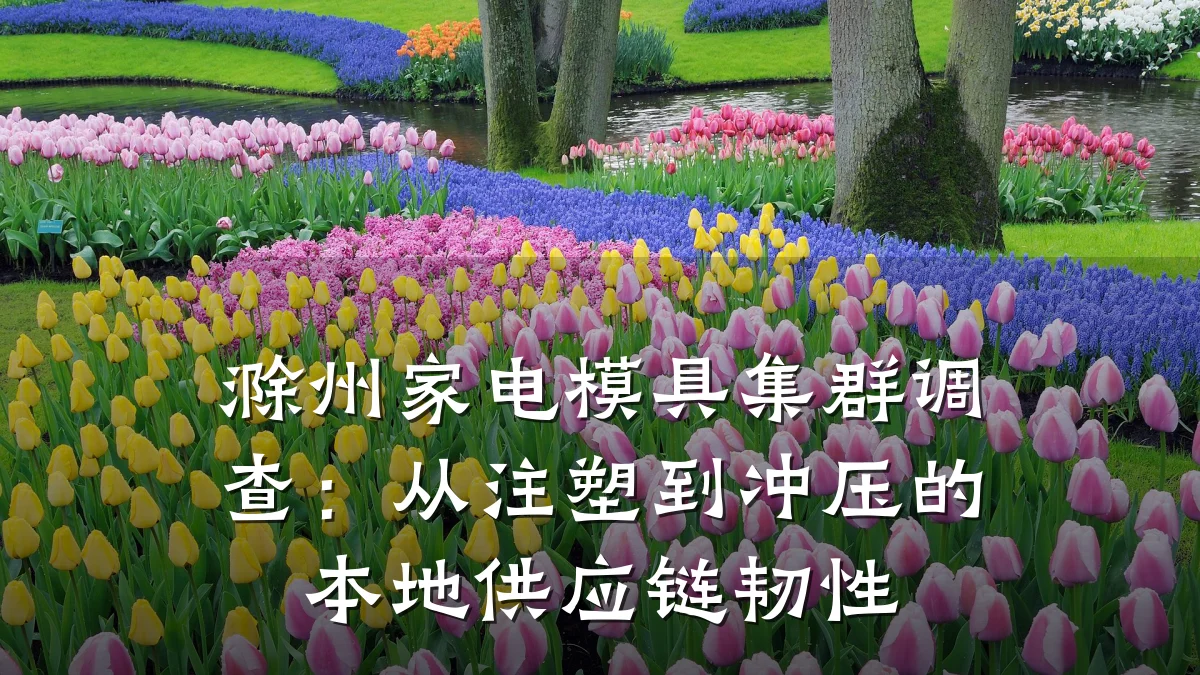 滁州家电模具集群调查：从注塑到冲压的本地供应链韧性