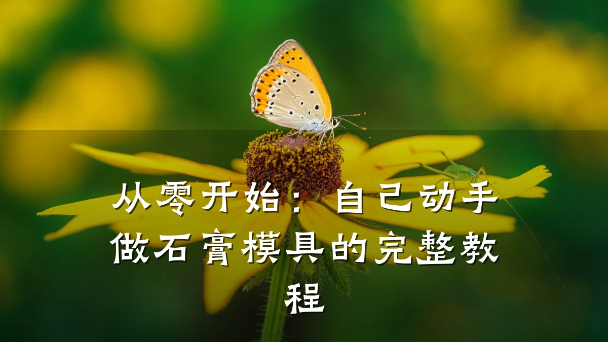 从零开始:自己动手做石膏模具的完整教程