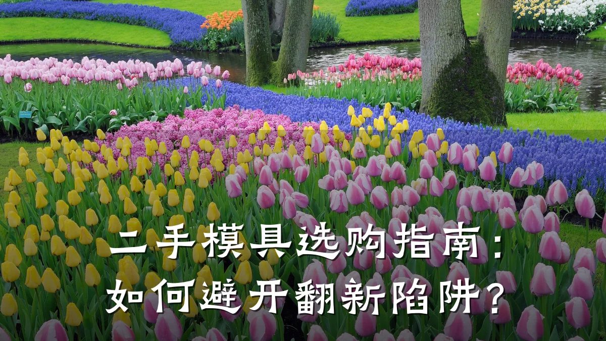 二手模具选购指南:如何避开翻新陷阱?