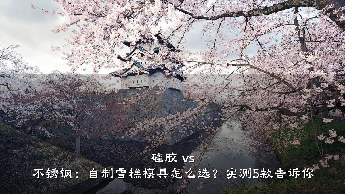 硅胶 vs 不锈钢:自制雪糕模具怎么选?实测5款告诉你