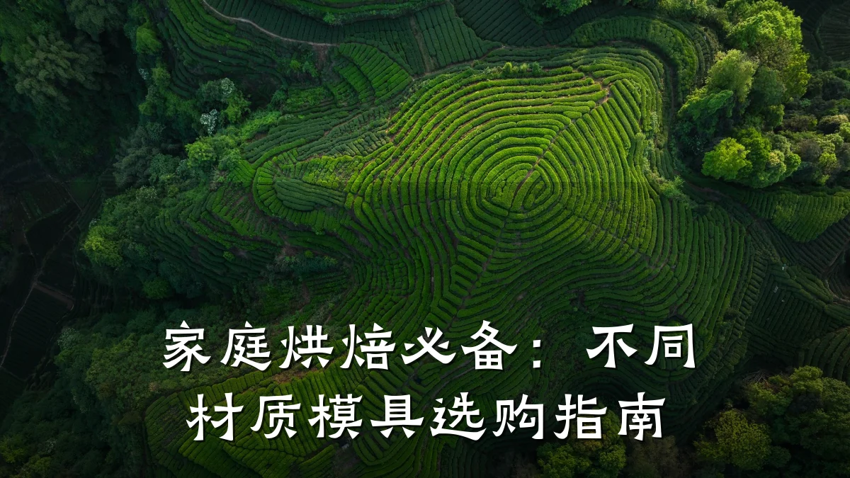 家庭烘焙必备:不同材质模具选购指南
