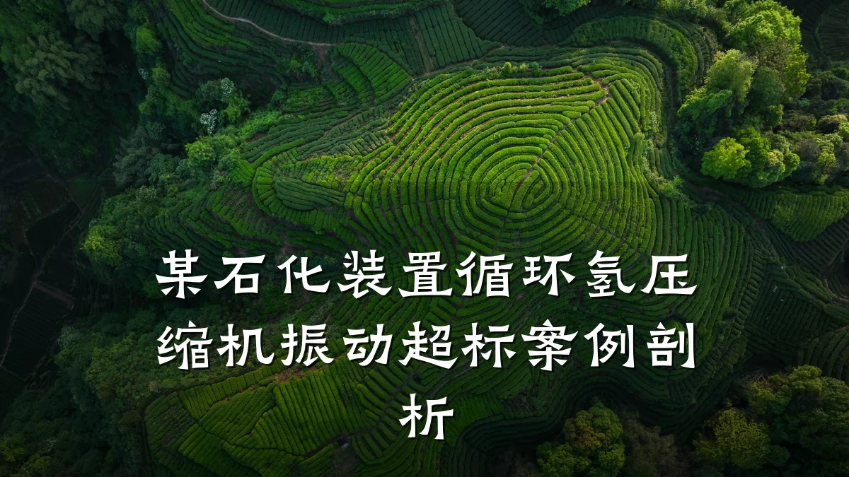 某石化装置循环氢压缩机振动超标案例剖析
