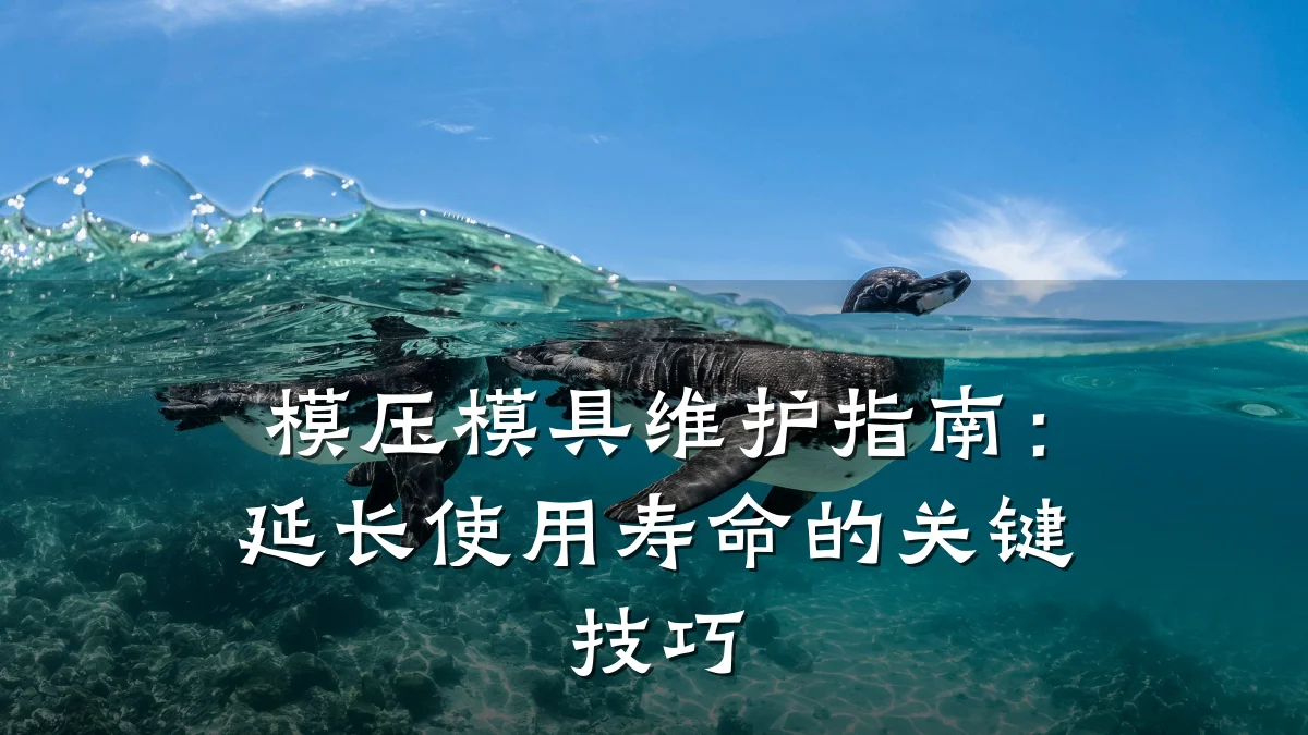 模压模具维护指南:延长使用寿命的关键技巧