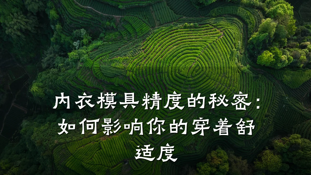 内衣模具精度的秘密:如何影响你的穿着舒适度
