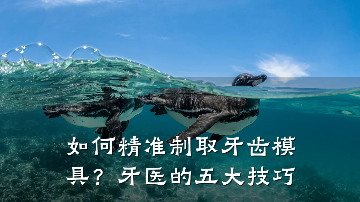 如何精准制取牙齿模具?牙医的五大技巧