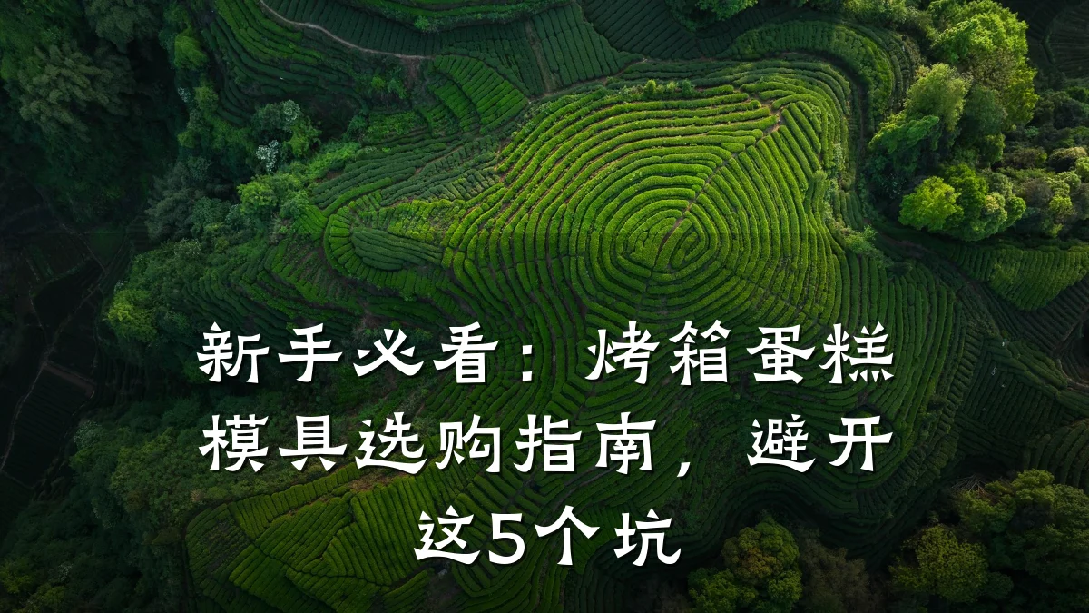 新手必看:烤箱蛋糕模具选购指南,避开这5个坑