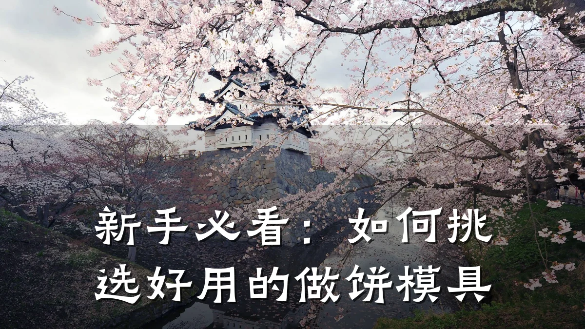 新手必看:如何挑选好用的做饼模具
