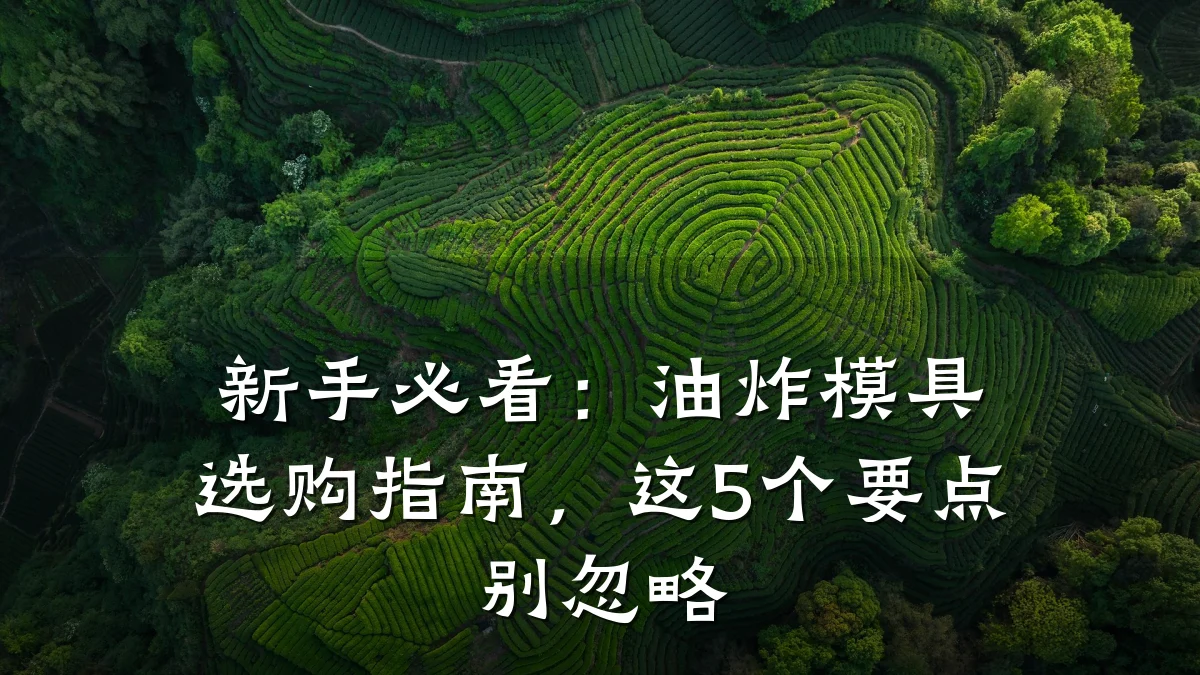 新手必看:油炸模具选购指南,这5个要点别忽略