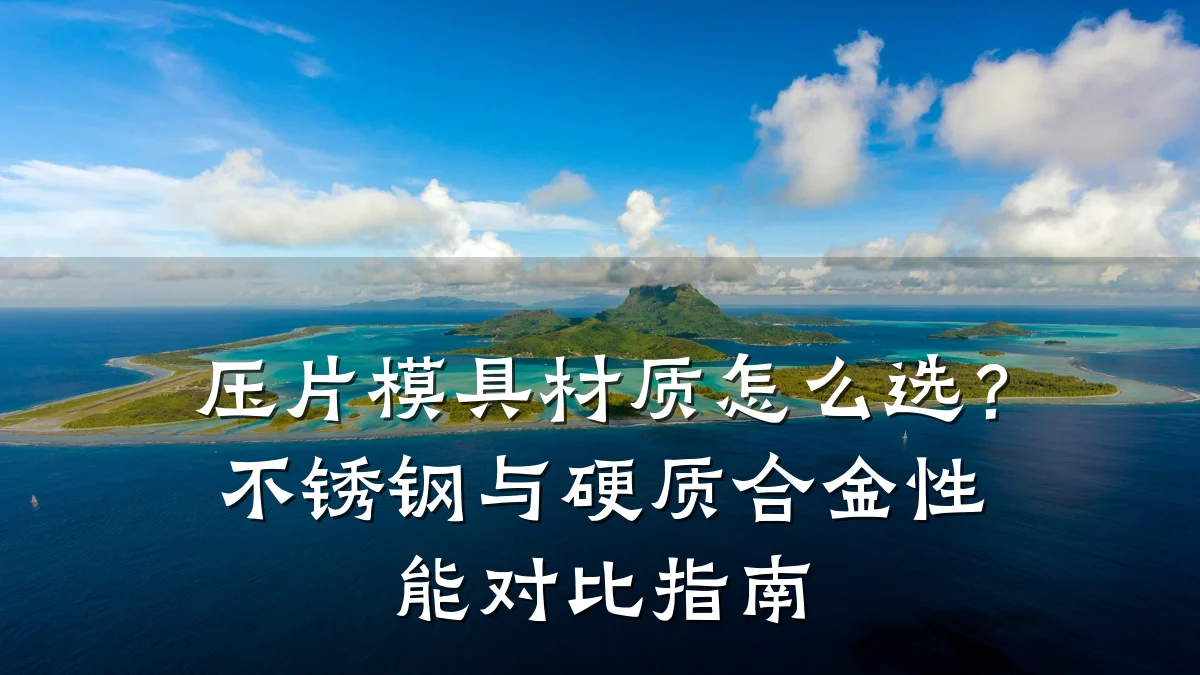 压片模具材质怎么选?不锈钢与硬质合金性能对比指南