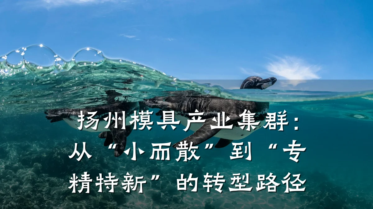 扬州模具产业集群:从“小而散”到“专精特新”的转型路径
