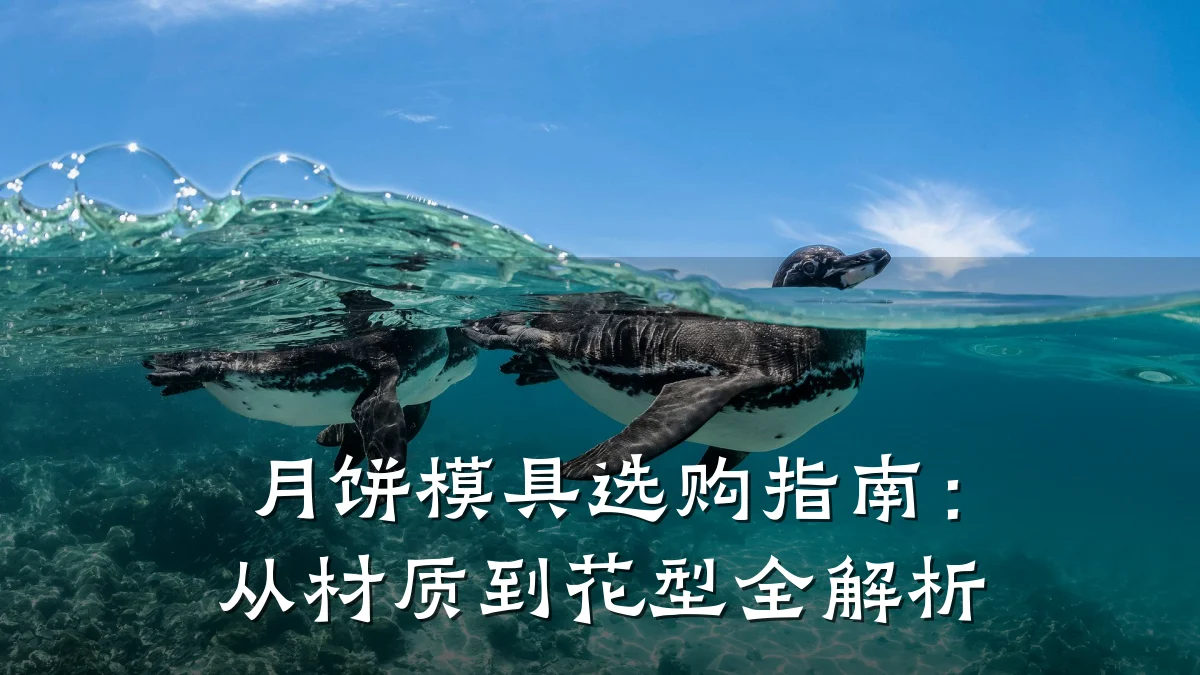 月饼模具选购指南:从材质到花型全解析