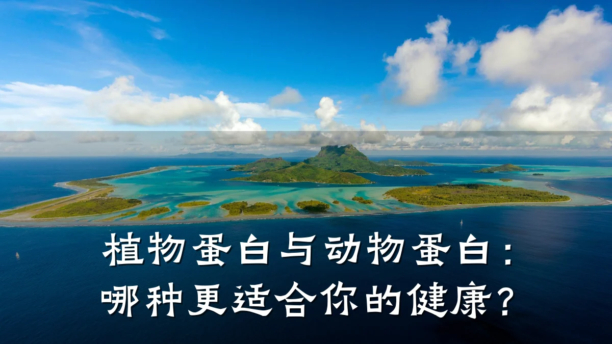 植物蛋白与动物蛋白:哪种更适合你的健康?