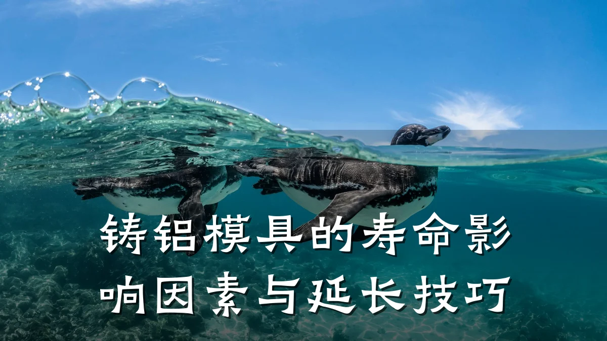 铸铝模具的寿命影响因素与延长技巧