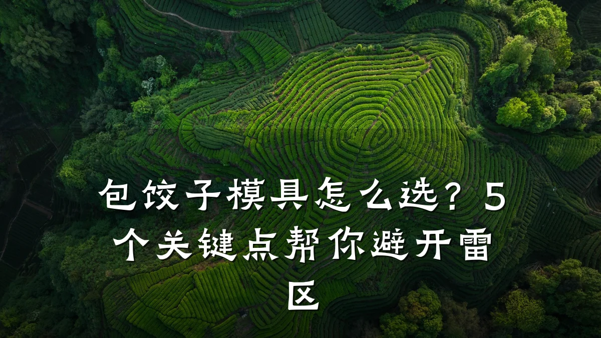 包饺子模具怎么选?5个关键点帮你避开雷区