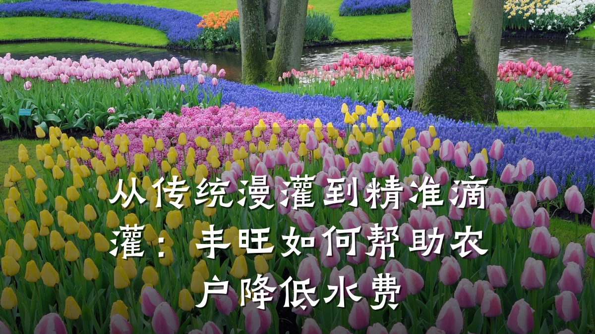 从传统漫灌到精准滴灌：丰旺如何帮助农户降低水费