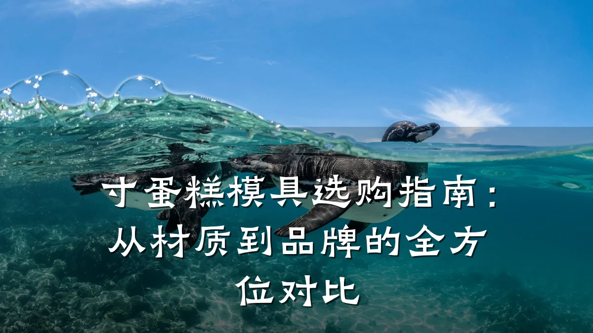 寸蛋糕模具选购指南:从材质到品牌的全方位对比