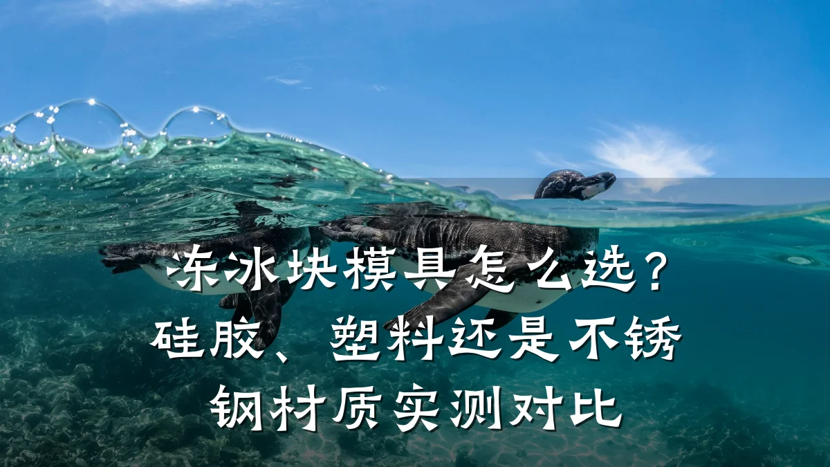 冻冰块模具怎么选?硅胶、塑料还是不锈钢材质实测对比