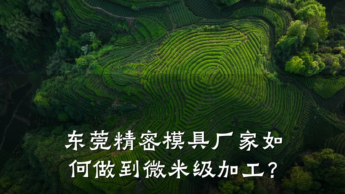 东莞精密模具厂家如何做到微米级加工?