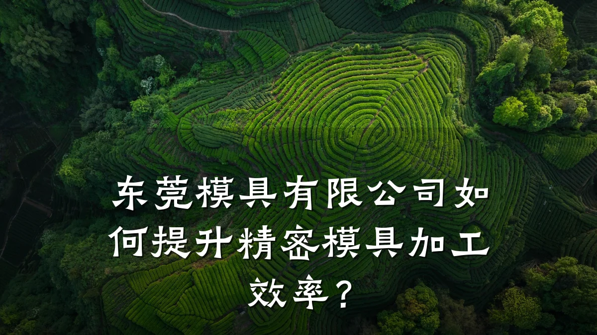 东莞模具有限公司如何提升精密模具加工效率?