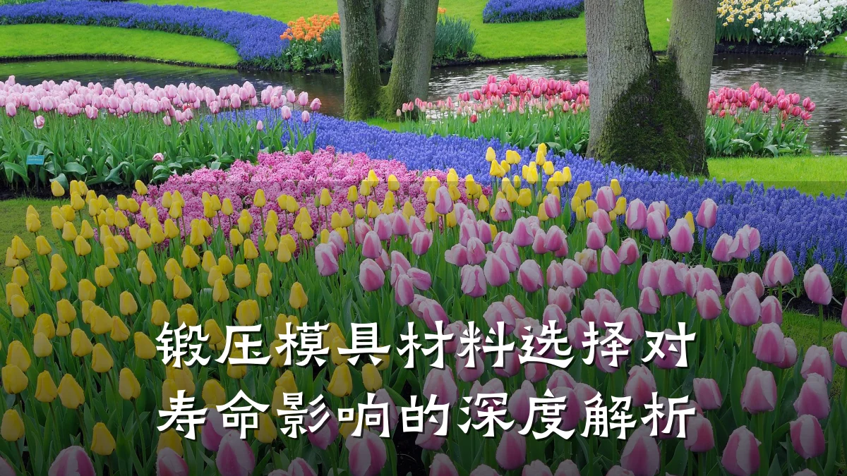 锻压模具材料选择对寿命影响的深度解析