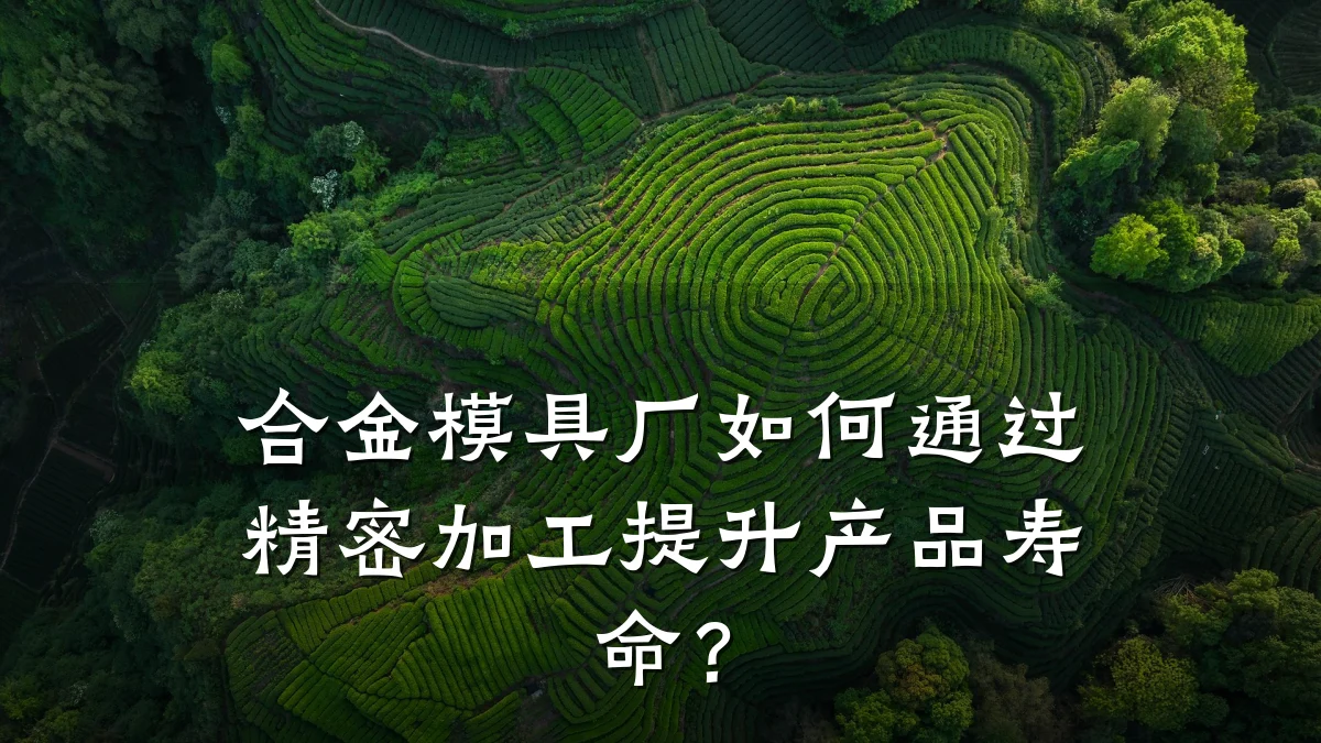合金模具厂如何通过精密加工提升产品寿命?