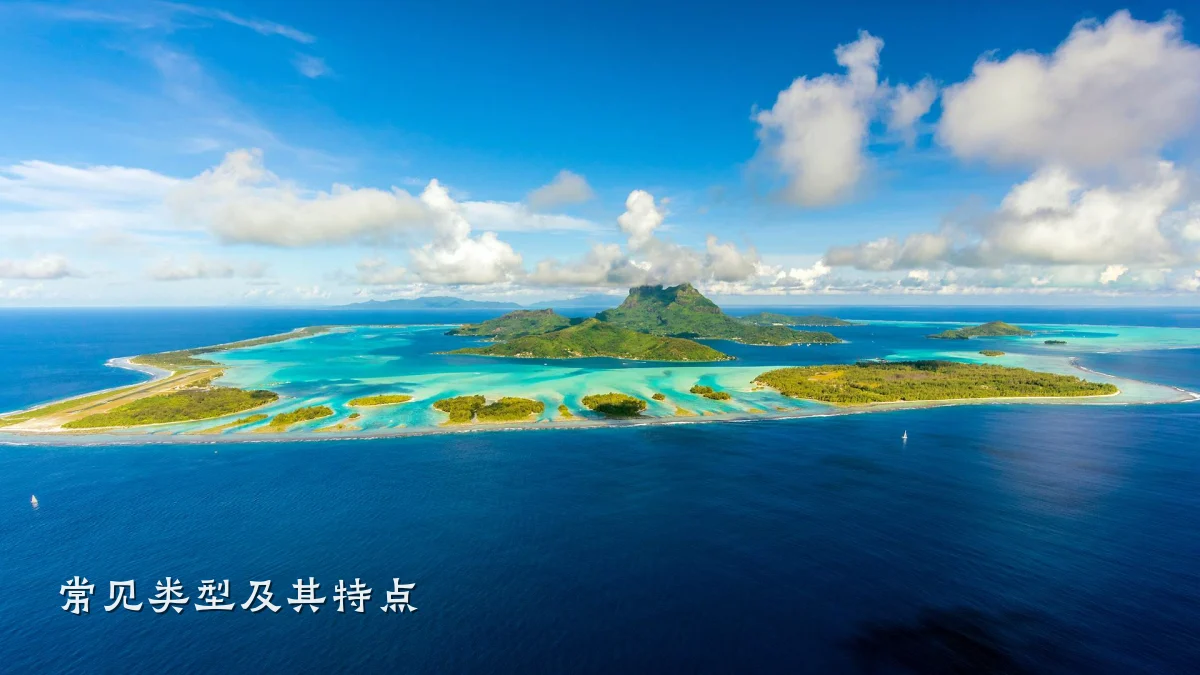 常见类型及其特点