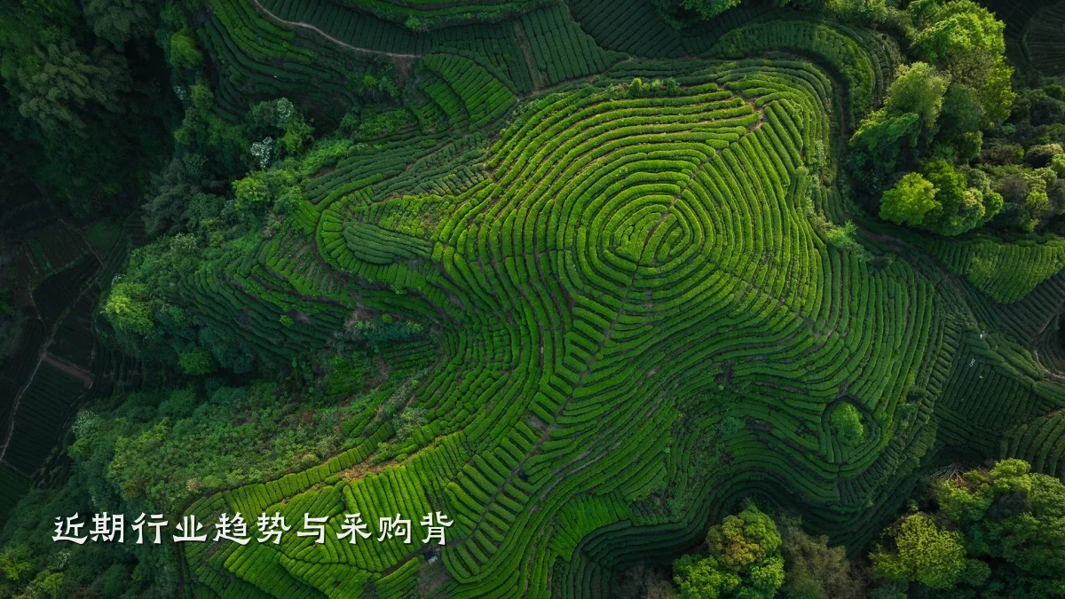 近期行业趋势与采购背