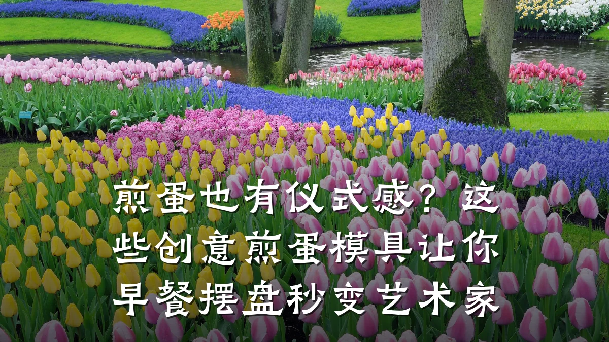煎蛋也有仪式感?这些创意煎蛋模具让你早餐摆盘秒变艺术家