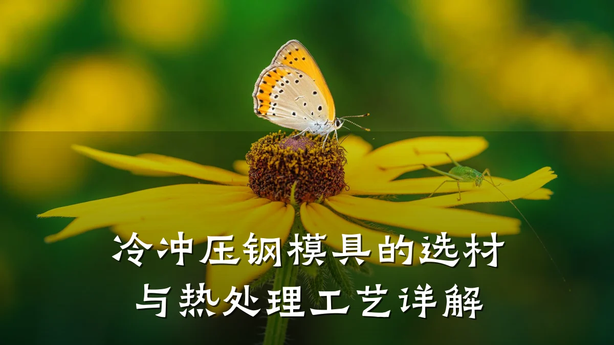 冷冲压钢模具的选材与热处理工艺详解