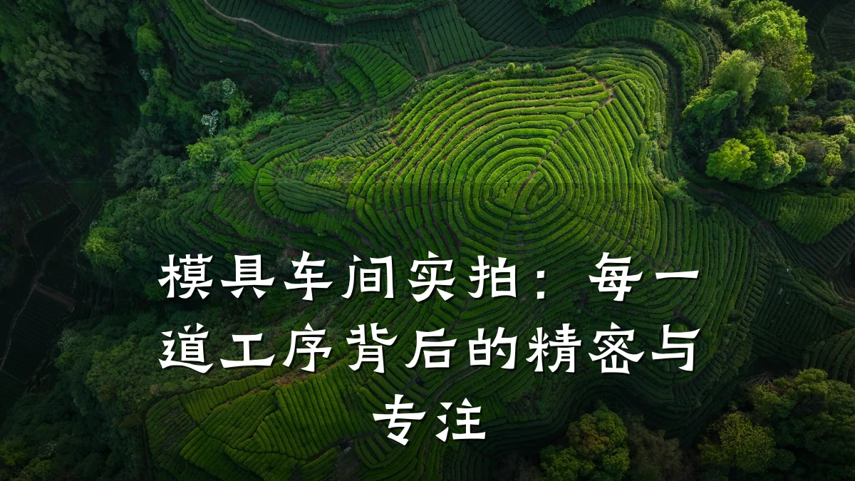 模具车间实拍:每一道工序背后的精密与专注
