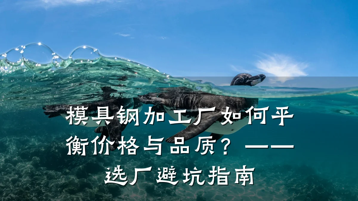 模具钢加工厂如何平衡价格与品质?——选厂避坑指南