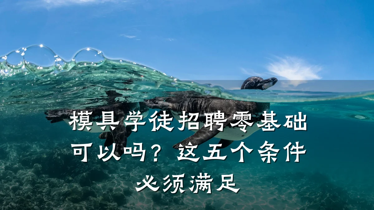 模具学徒招聘零基础可以吗?这五个条件必须满足