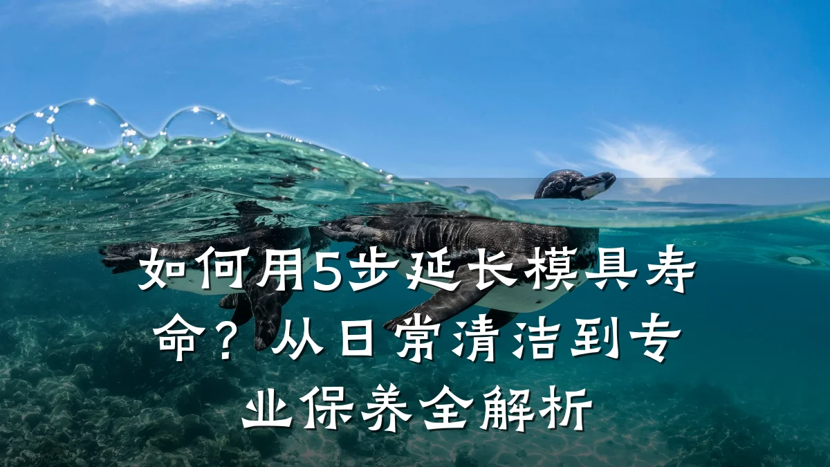 如何用5步延长模具寿命?从日常清洁到专业保养全解析