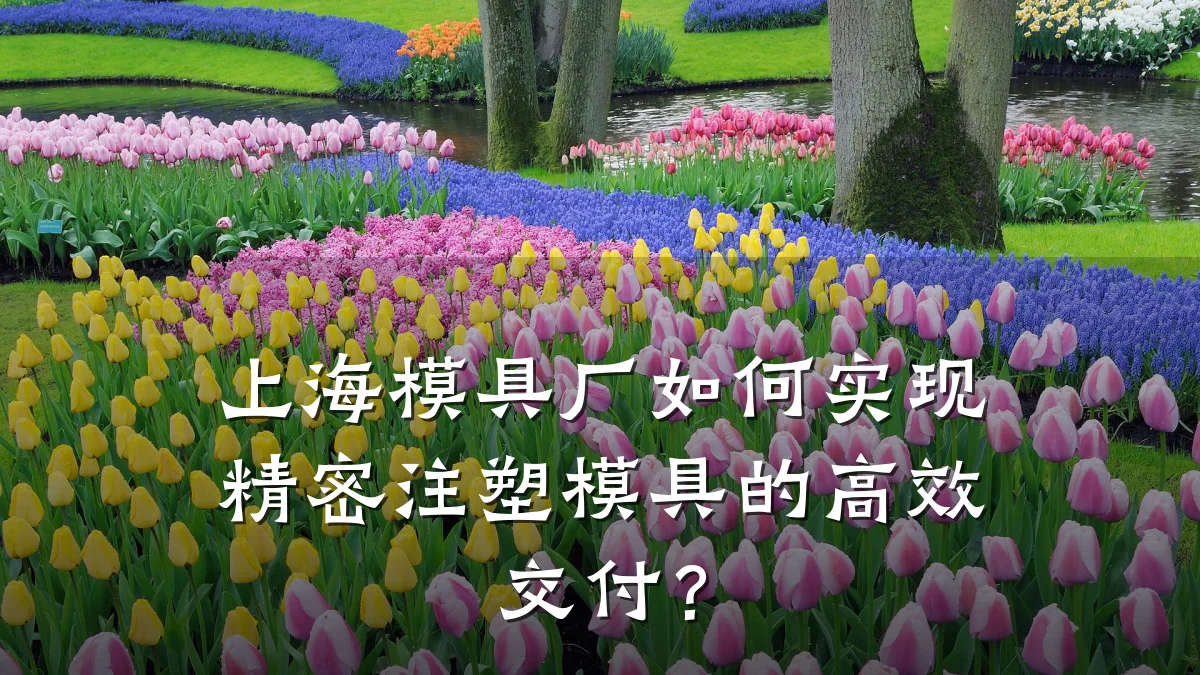 上海模具厂如何实现精密注塑模具的高效交付?