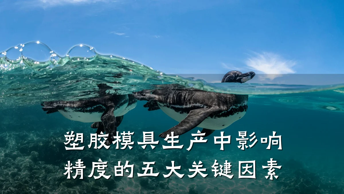 塑胶模具生产中影响精度的五大关键因素