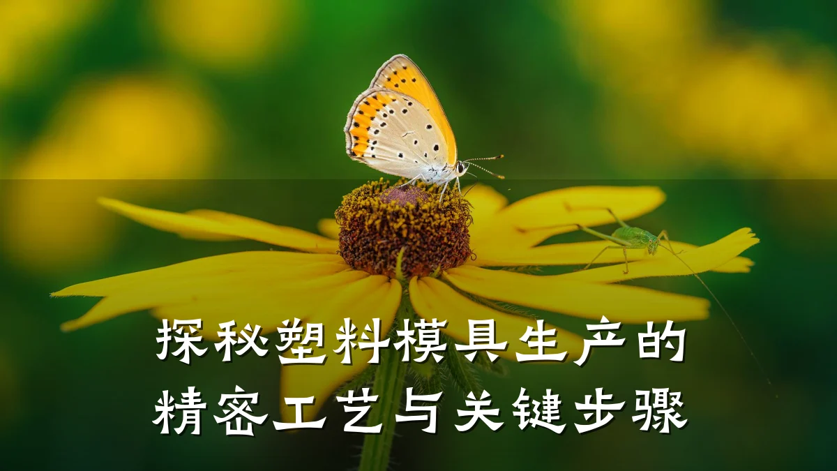 探秘塑料模具生产的精密工艺与关键步骤