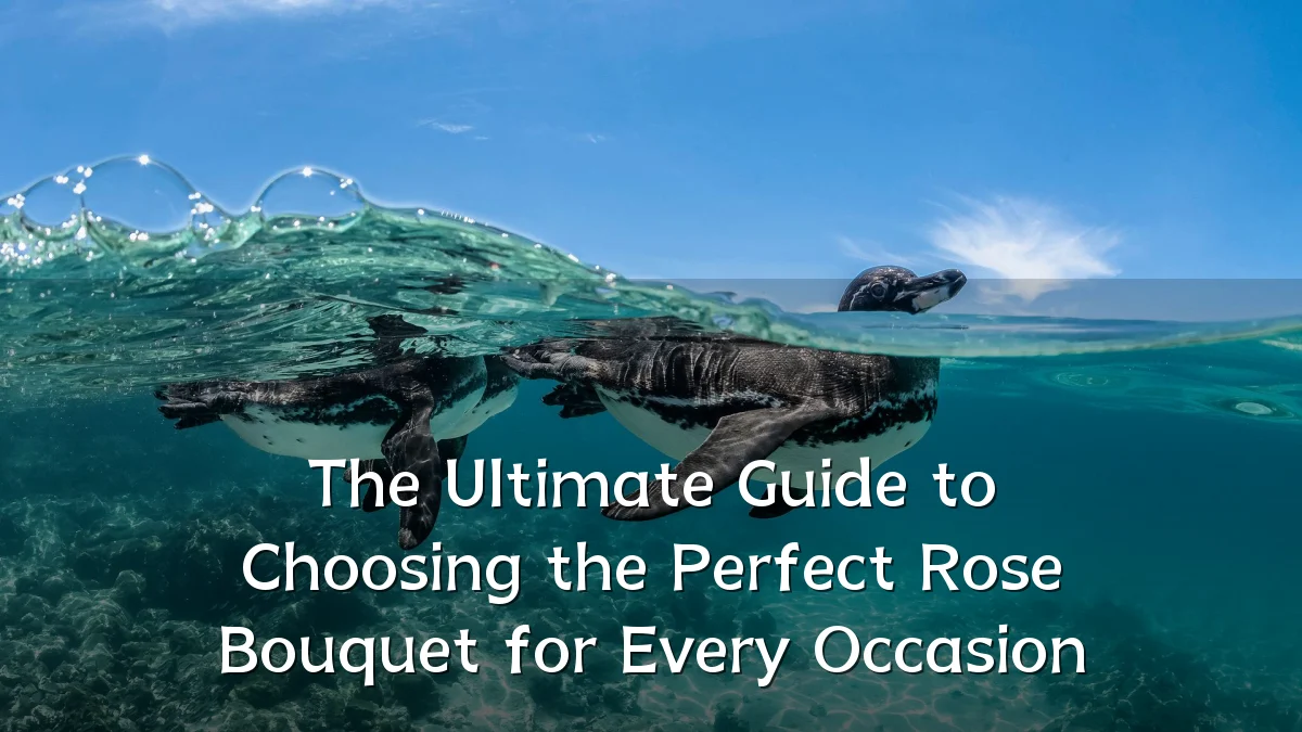 The Ultimate Guide to Choosing the Perfect Rose Bouquet for Every Occasion