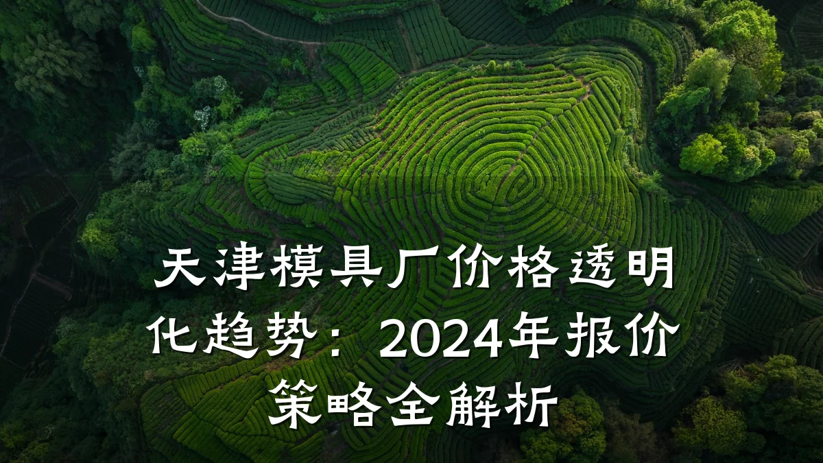 天津模具厂价格透明化趋势:2024年报价策略全解析