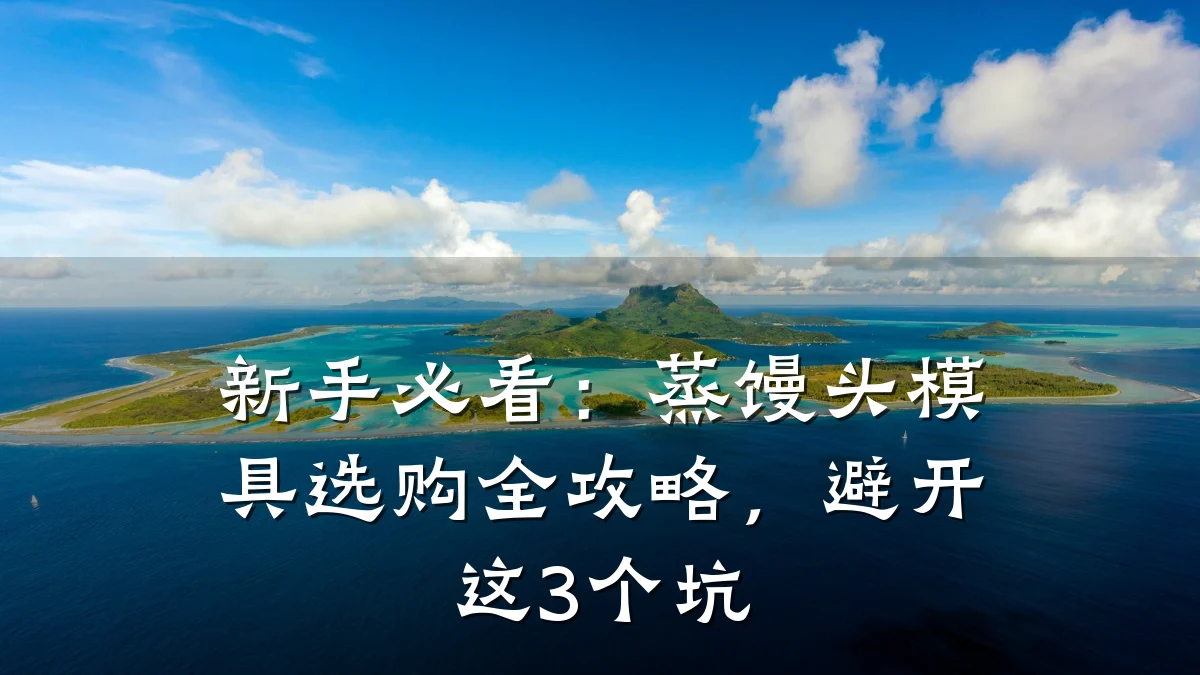 新手必看:蒸馒头模具选购全攻略,避开这3个坑