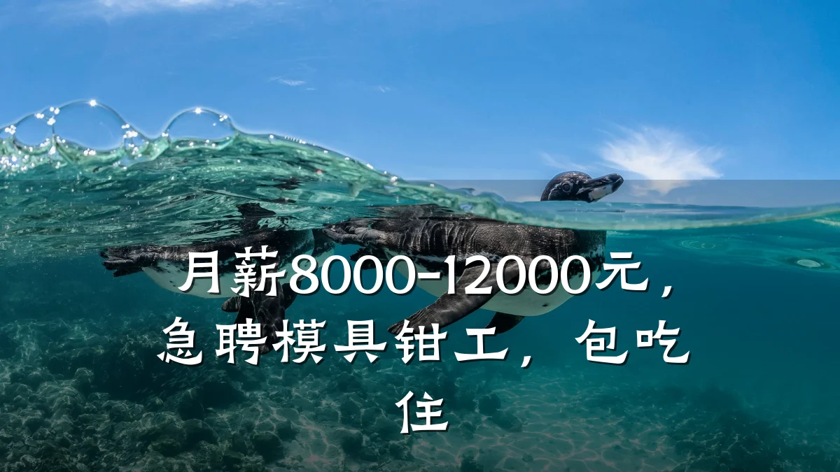 月薪8000-12000元，急聘模具钳工，包吃住