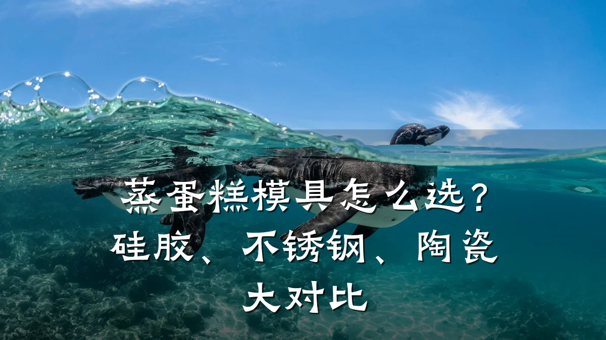 蒸蛋糕模具怎么选?硅胶、不锈钢、陶瓷大对比
