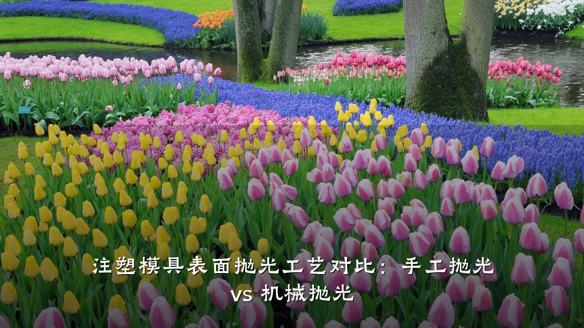 注塑模具表面抛光工艺对比:手工抛光 vs 机械抛光