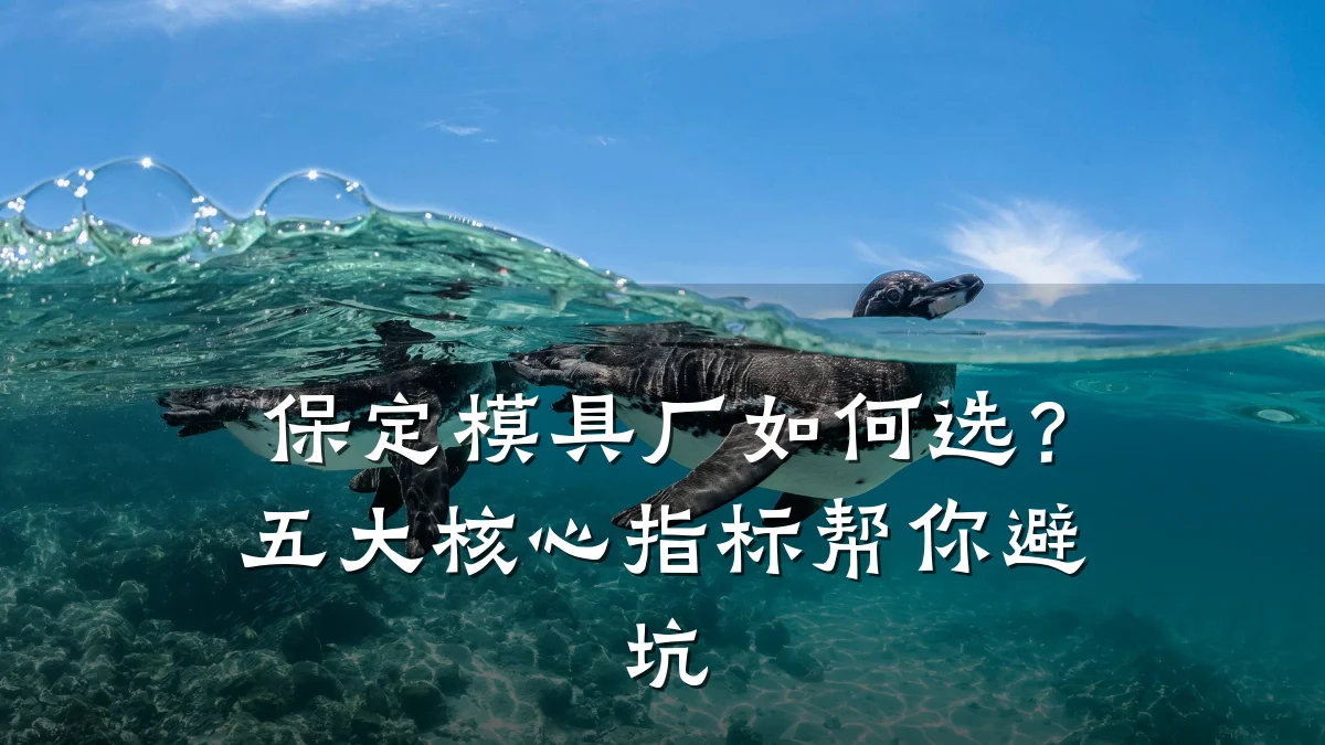 保定模具厂如何选?五大核心指标帮你避坑
