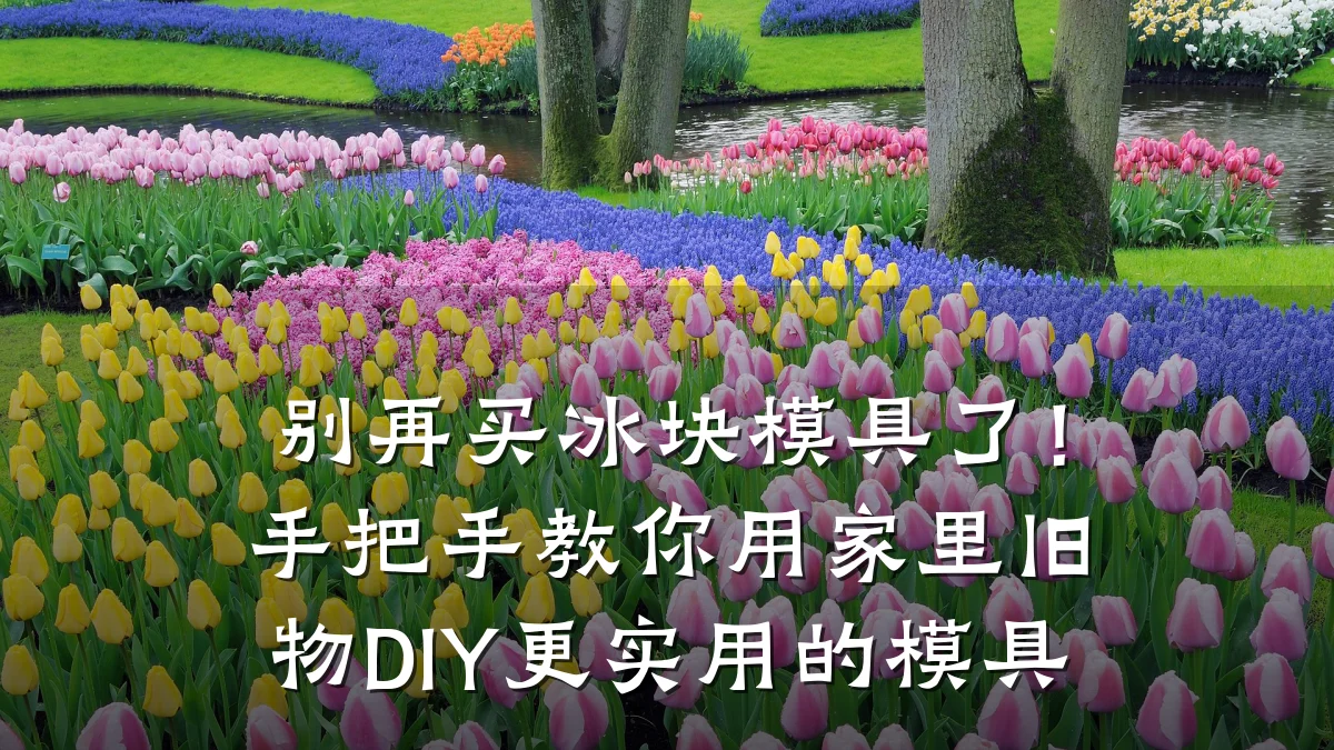 别再买冰块模具了！手把手教你用家里旧物DIY更实用的模具
