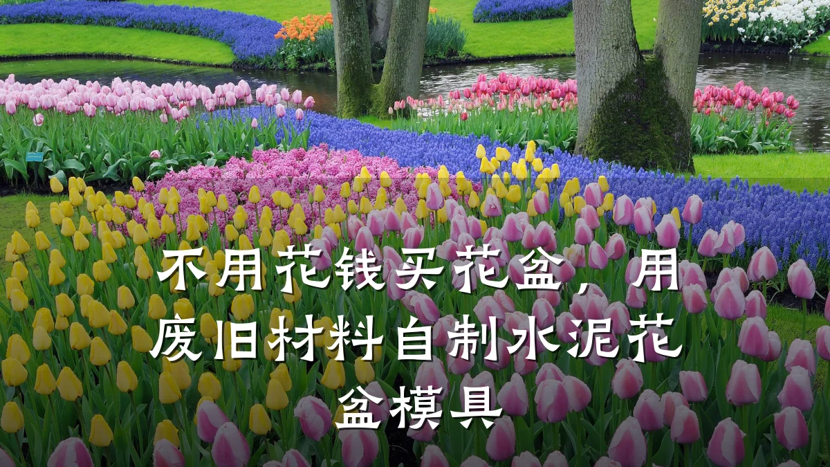 不用花钱买花盆，用废旧材料自制水泥花盆模具