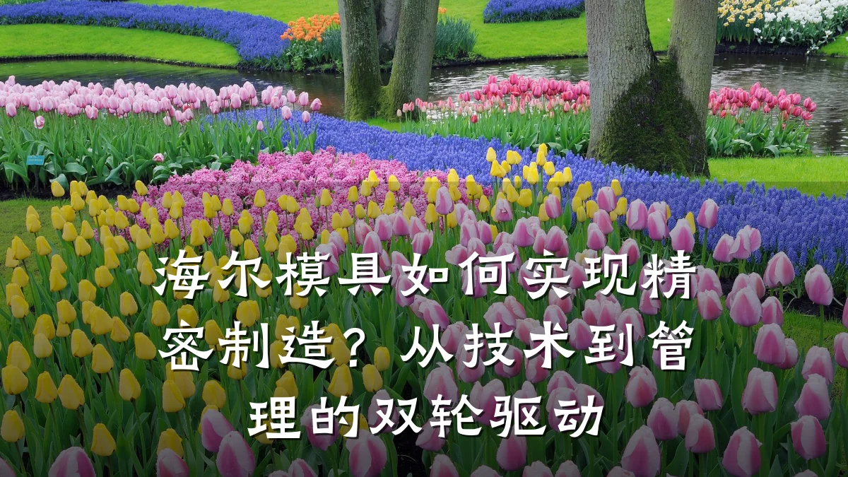 海尔模具如何实现精密制造?从技术到管理的双轮驱动