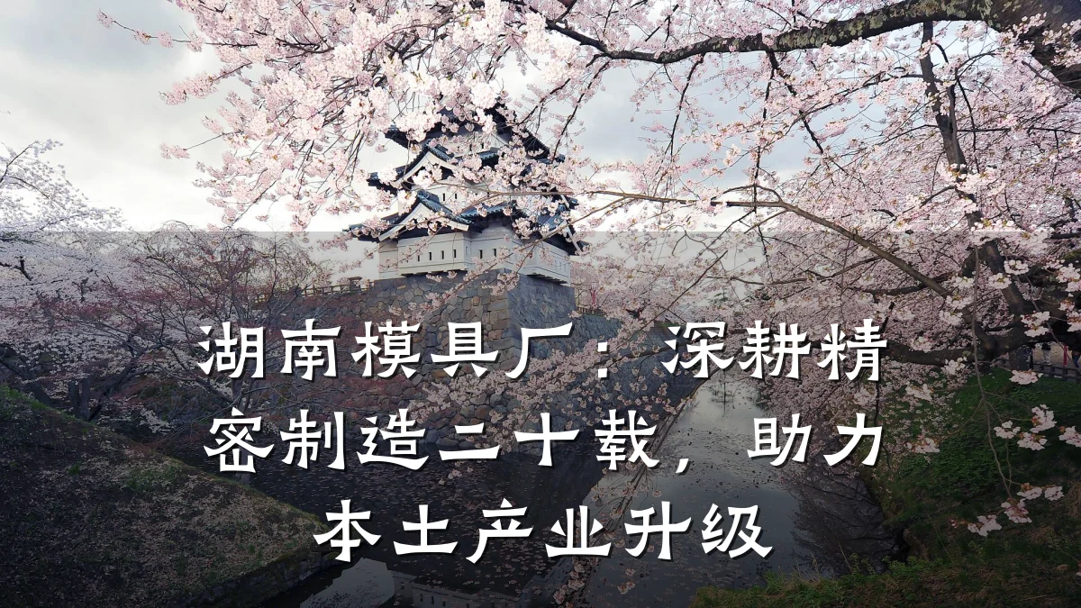 湖南模具厂:深耕精密制造二十载,助力本土产业升级