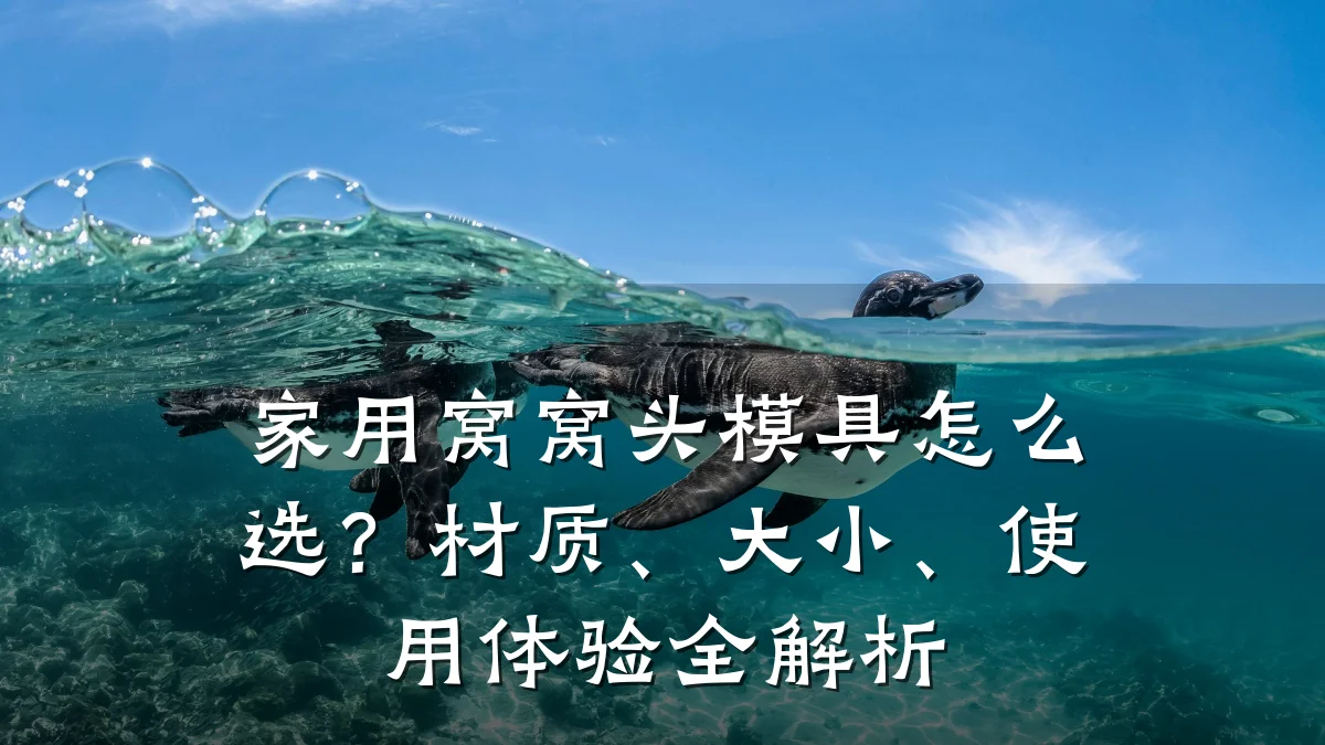 家用窝窝头模具怎么选?材质、大小、使用体验全解析
