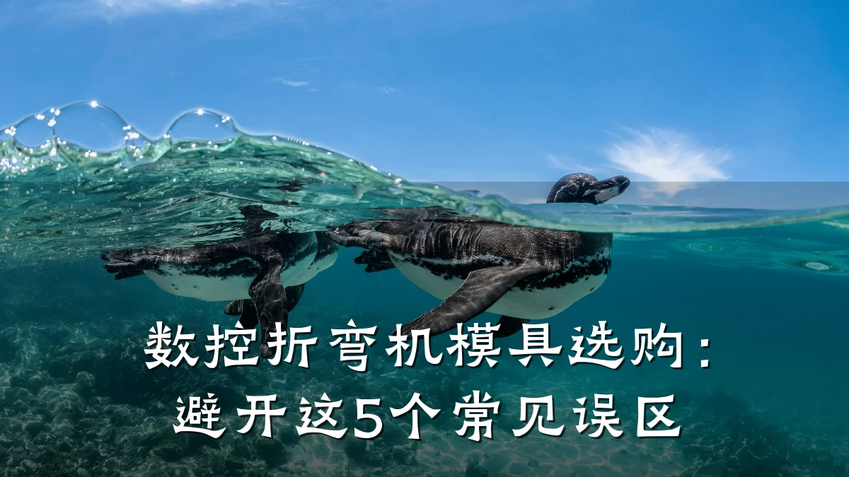 数控折弯机模具选购：避开这5个常见误区