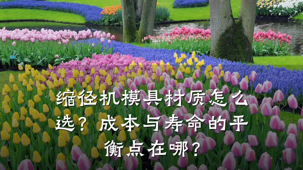 缩径机模具材质怎么选?成本与寿命的平衡点在哪?